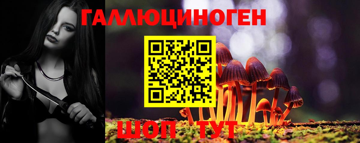 Галлюциногенные грибы Psilocybe  Псилоцибиновые грибы Magic Shrooms  Камень-на-Оби  Вход с VPN 