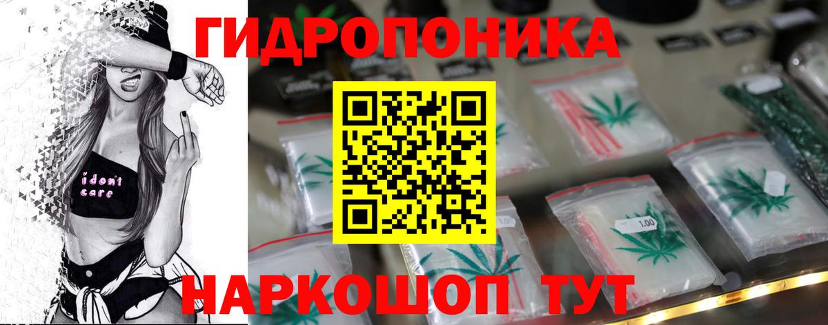 Камень-на-Оби  Канабис ГИДРОПОН  Вход с VPN  Марихуана планчик  Каннабис AK-47 